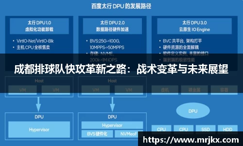 333体育官网