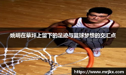 333体育