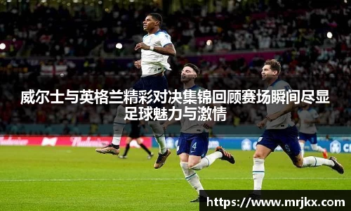 333体育平台